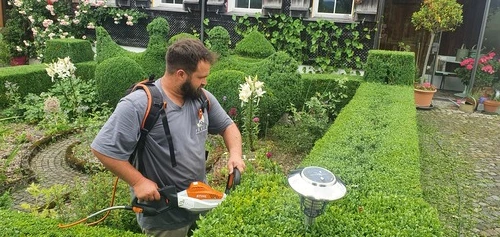 Hecke Schneiden Winterthur - Impressionen unserer Arbeit