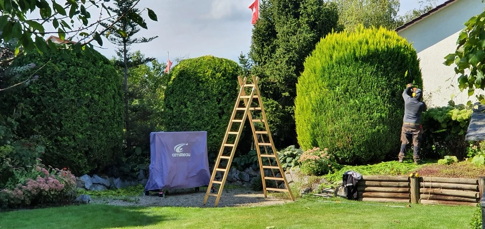 Ihr Experte für Hecke Schneiden in Winterthur - Hecke Schneiden Winterthur in Winterthur