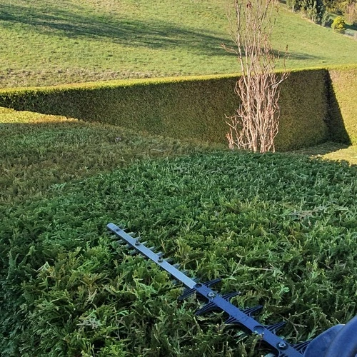 Professioneller Heckenschnitt Winterthur